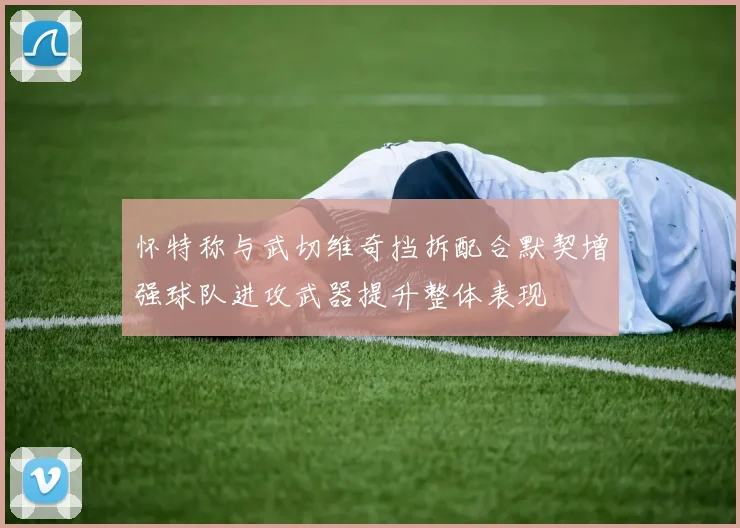 怀特称与武切维奇挡拆配合默契增强球队进攻武器提升整体表现