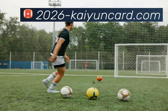 开云棋牌官网平台生态图